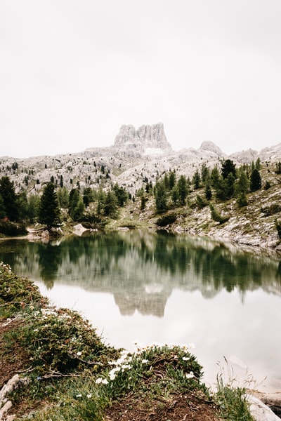 The lake mountainside tree-lined during the day
